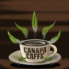 Canapa caffè