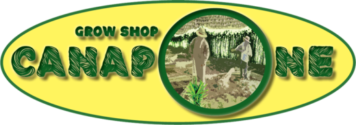 canapone negozio marijuana