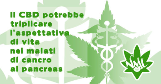 cbd per terapia cancro