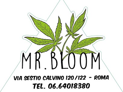 negozio marijuana legale roma