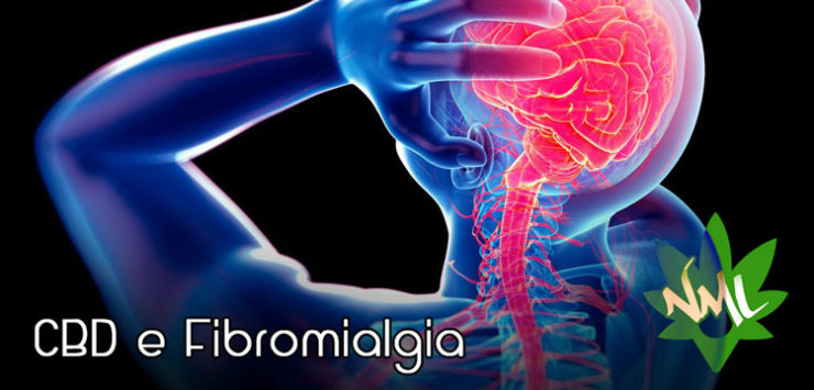 CBD e Fibromialgia