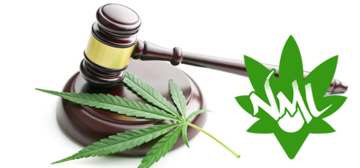 sentenza cassazione cannabis