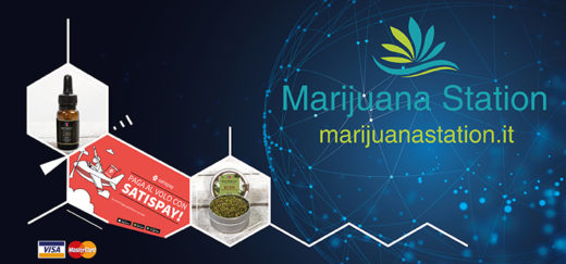 marijuanastation acqisto online