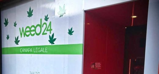 civitavecchia distributore cbd 24h