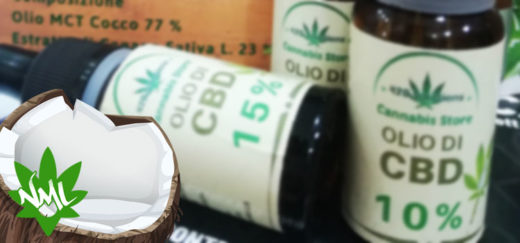 olio cbd cocco