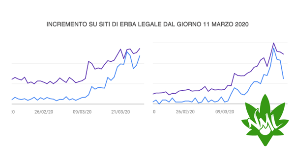 aumento visite per i siti di cannabis light durante la quarantena per il covid 19