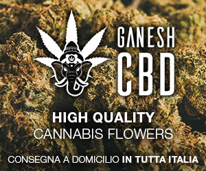 Ganesh cannabis light Shop