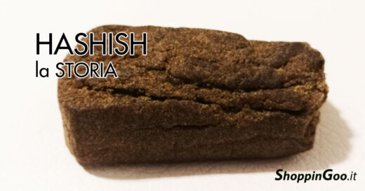 hashish CBD