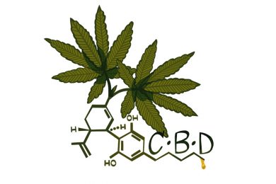 cbd legge e acquisto